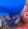 嘉宝（GERBER）米粉婴幼儿米糊地球高铁宝宝营养辅食250g（6-36月适用） 1段原味营养米粉 250g 实拍图