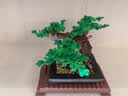 乐高（LEGO）积木拼装玩具 创意百变系列 10281盆景 18岁+ 六一儿童节礼物 实拍图