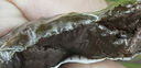 东方牧都内蒙古锡林一号牛肉干便携装办公室零食小吃香辣孜然原味 香辣味半斤 实拍图