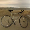 迪卡侬speed500城市通勤自行车公路男女学生单车 speed500绿卡其 L码(185-200CM)（脚撑单独购买） 实拍图