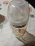 宝格萌贝适配布朗博士奶瓶配件奶嘴鸭嘴重力球直饮吸管玻璃PPSU学饮把手柄 护唇鸭嘴【6-12个月】 实拍图