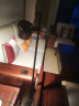 爱斯兰客厅落地灯简约卧室全光谱氛围灯设计师极简轻奢沙发灯立式灯 砂岩黑-12W-暖光（无极调光） 晒单实拍图