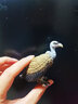 思乐（Schleich S）仿真动物模型 老虎狮子狼豹白虎猞猁男女孩儿童玩具生日礼物3+ 咆哮的狮子14726 实拍图