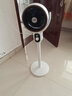 扬子电风扇空气循环扇台地两用智能语音遥控家用风扇卧室客厅落地扇大风量台扇低音八字摇头定时 白色机械款【1米高可调+8字摇头+三档可调】 实拍图