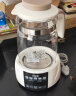 小壮熊 恒温壶 婴儿调奶器 冲泡奶粉保温水壶温奶热奶暖奶器家用 白1.3L 实拍图