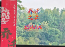 缘辉乔迁之喜窗花装饰静电贴福字玻璃门窗贴纸搬新家入宅布置仪式用品 实拍图