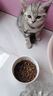 优趣猫粮全价粮通用成猫幼猫粮成年猫高蛋白营养天然英短蓝猫 三文鱼味  1.5kg*2袋（实发6斤） 实拍图