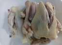湘佳 冷鲜石门土鸡500g/盒 红烧煲汤食材地标名鸡 实拍图