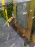 桑岛鱼食金鱼饲料锦鲤饲料小型鱼专用缓沉型不浑水高蛋白饲料200g 实拍图
