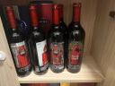 奥兰小红帽珍藏干红葡萄酒750ml 单瓶装 西班牙进口红酒 实拍图