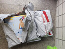 INTEX 58535海豚充气坐骑 游泳圈成人儿童充气玩具浮排浮床加厚水上 实拍图