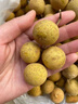 三萌果蔬广东石硖储良龙眼【顺丰冷链-多地隔日达】新鲜龙眼桂圆礼盒送礼 3斤石硖龙眼【较划算】净重2.6斤 【顺丰】7A级|特级果【自吃推荐】 实拍图