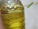 多力【张若昀同款】葵花籽油900ml 食用油小包装油 零反式脂肪酸 实拍图
