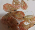 海盈养香烤虾干即食虾干大号对虾炭烤500g海鲜干货零食小吃休闲美食特产 中大烤虾（约70-90只）开海新货 实拍图