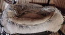 KimPets猫窝四季通用宠物小猫咪屋被子冬季保暖猫狗窝冬天用品封闭式猫床 柔制水晶绒（绅士灰） 柔软包裹 直径60cm，适合30斤内宠物 实拍图