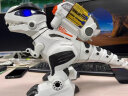 盈佳（AMWELL）儿童遥控恐龙玩具电动早教智能机器人编程动物霸王龙男孩生日礼物 大号俯身恐龙 晒单实拍图