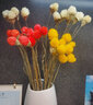 干花花束植物干花真花永生花勿忘我干花多色草莓果干花办公室客厅茶几餐桌摆放装饰艺术插花小花束 红色草莓果12支（不含花瓶） 实拍图