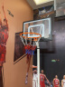 双航 篮球架 室内家用篮球框球架 户外可升降可移动标准高度篮球架 0272青少年款(篮筐1.4-2.6米) 实拍图