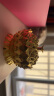 七芝堂西藏特产七芝堂精品莲花香炉（合金材质） 金色 金色 实拍图