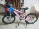 飞鸽儿童自行车6-8-10-12岁青少年自行车学生12到18岁变速山地自行车 单速-辐条轮-渐变粉-98%已安装 18寸【适合身高120cm-145cm】 实拍图