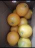 沙窝曙光湖北纽荷尔脐橙子高山手剥甜橙子榨汁新鲜当季时令水果生鲜 5斤装 60-65mm 实拍图