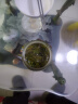寻西湖龙井茶 茶叶绿茶 新茶一级雨前嫩芽浓香型传统纸包250g源头直发 实拍图