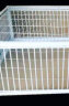 HKPZ捕鸽神器天落笼只进不出鸽子笼自动跳门撞门笼鸽子用品用具撞门笼 加密40长30宽26高2个进口 晒单实拍图