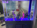 江彩鱼缸客厅大型水族箱落地隔断墙家用办公室底过滤超白玻璃鱼缸定制 1.2米加高（120x40x165cm） 实拍图