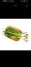 京百味 日日鲜 蘸酱小葱250g 实拍图