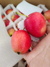 菓灵稥【现货】东北鸡心果小苹果锦绣海棠果沙果新鲜水果甜脆 5斤大果 甄选装 商超品质 实拍图