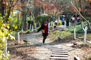 索尼（SONY）DSC-RX100M7 黑卡数码相机（24-200mm焦段  4K视频) RX100M7 黑卡7 黑卡7(视频套装) 实拍图