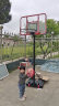 双航 篮球架 室内家用篮球框球架 户外可升降可移动标准高度篮球架 350标准款(篮筐1.9-3.05米) 实拍图