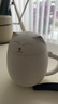 南山先生 招财猫马克杯带盖创意定制泡茶杯粗陶瓷茶水分离过滤高档便携 带过滤 禅风白 实拍图