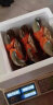 【活蟹】掌昕鲜三门青蟹 全母蟹（5-6两/只）5只 生鲜活螃蟹海鲜水产送礼盒装非梭子蟹 实拍图