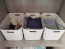 星优（XINGYOU） 桌面收纳盒整理盒办公室杂物塑料收纳筐浴室用品储物盒 大号加高-无盖 实拍图