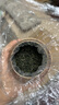 龍潭【河南老字号】信阳毛尖绿茶2025年春茶新茶毛尖茶叶河南信阳 一级雨前250克*1包 实拍图