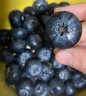怡颗莓Driscoll's云南蓝莓特级Jumbo超大果18mm+2盒装125g/盒 新鲜水果 实拍图