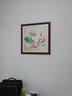 天尚喷画 荷花九鱼图客厅餐厅装饰画国画玄关过道走廊墙画壁画书房墙挂画 九鱼图-1红褐色外框 70*70(卧室推荐）实木框 实拍图