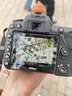 尼康（Nikon） 【国行全新】D7500 单反相机 （约2,088万有效像素 51点自动对焦系统） D7500 18-140赠64G卡相机包 备用电池 实拍图