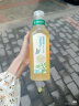 农夫山泉 东方树叶绿茶500ml*15瓶 0糖0脂0卡无糖饮料茶饮料 整箱装 实拍图