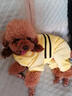 阿莫尔网红猫咪衣服秋冬季搞怪狗狗衣服可爱搞笑小型猫犬四脚衣连帽泰迪 皮卡丘变身装 XS(建议1-3斤具体参考胸围背长) 实拍图