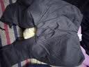 南极人羊羔绒连帽卫衣男加绒加厚冬款男士潮牌男款冬季外套 黑色 3XL 实拍图