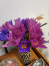悦多彩鲜花重瓣荷花睡莲马醉木姜荷花吊钟火焰兰袋鼠爪花束家庭水养基地 紫色睡莲9-10支/扎 实拍图
