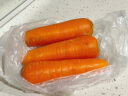绿食者 新鲜大胡萝卜500g 时令蔬菜红萝卜生吃甜脆炒菜配料食材 实拍图