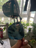 BYZA近视夹片式太阳镜男女偏光近视眼镜 3025蛤蟆镜司机驾驶镜墨镜夹片可上翻 多边形-冰蓝片-日用 均码 实拍图