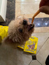 约翰农场狗狗零食大礼包宠物训犬鸡胸肉干泰迪博美金毛幼犬磨牙肉干 鸡肉棒100g【多人选择】 实拍图