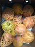 京鲜生 塞外红阿克苏苹果礼盒5kg果径85mm起  生鲜水果 实拍图