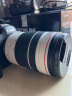佳能（Canon）RF70-200mm F4 L IS USM 远摄变焦镜头 微单镜头 RF卡口“小三元”  实拍图