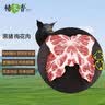 楮木香黑猪肉 梅花肉 烧烤食材土猪肉猪颈肉 精选肉类猪肉 生鲜源头直发 黑猪梅花肉6斤【2斤*3袋】 实拍图