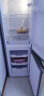 创维 (SKYWORTH) 170升小型双门冰箱家用两门小冰箱 迷你节能低音电冰箱 家用租房冰箱 BCD-170普利金 实拍图